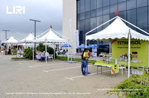 Pop Up Gazebo Canopy Tents