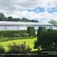 Black Frame & Structure Tents
