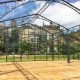 Clear Span Party Tent