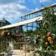 Conservatories & Orangeries Tents