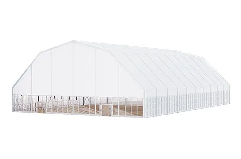 Polygon Top Tent